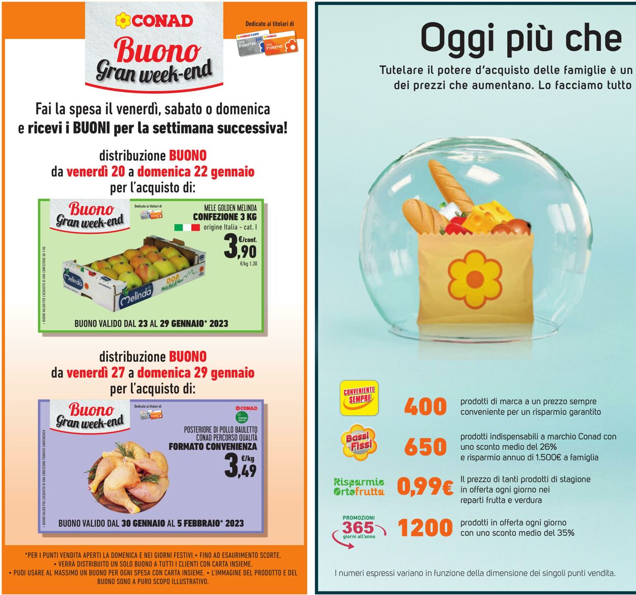 Volantino Conad 18.01.2023 - 31.01.2023