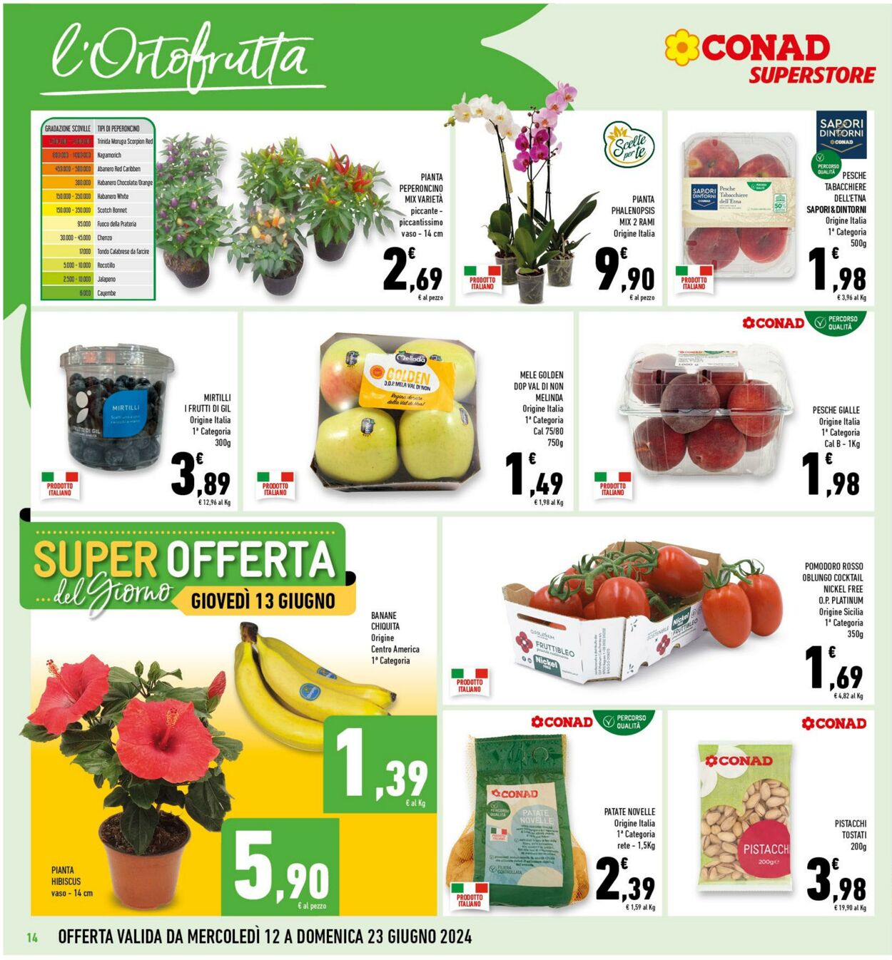 Volantino Conad 12.06.2024 - 23.06.2024