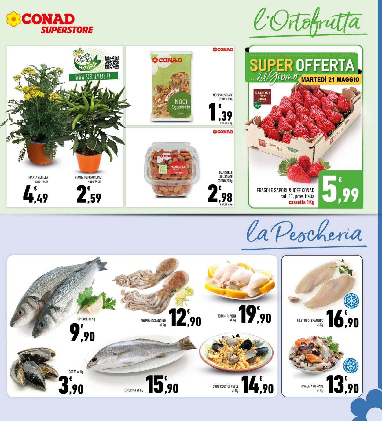 Volantino Conad 15.05.2024 - 26.05.2024