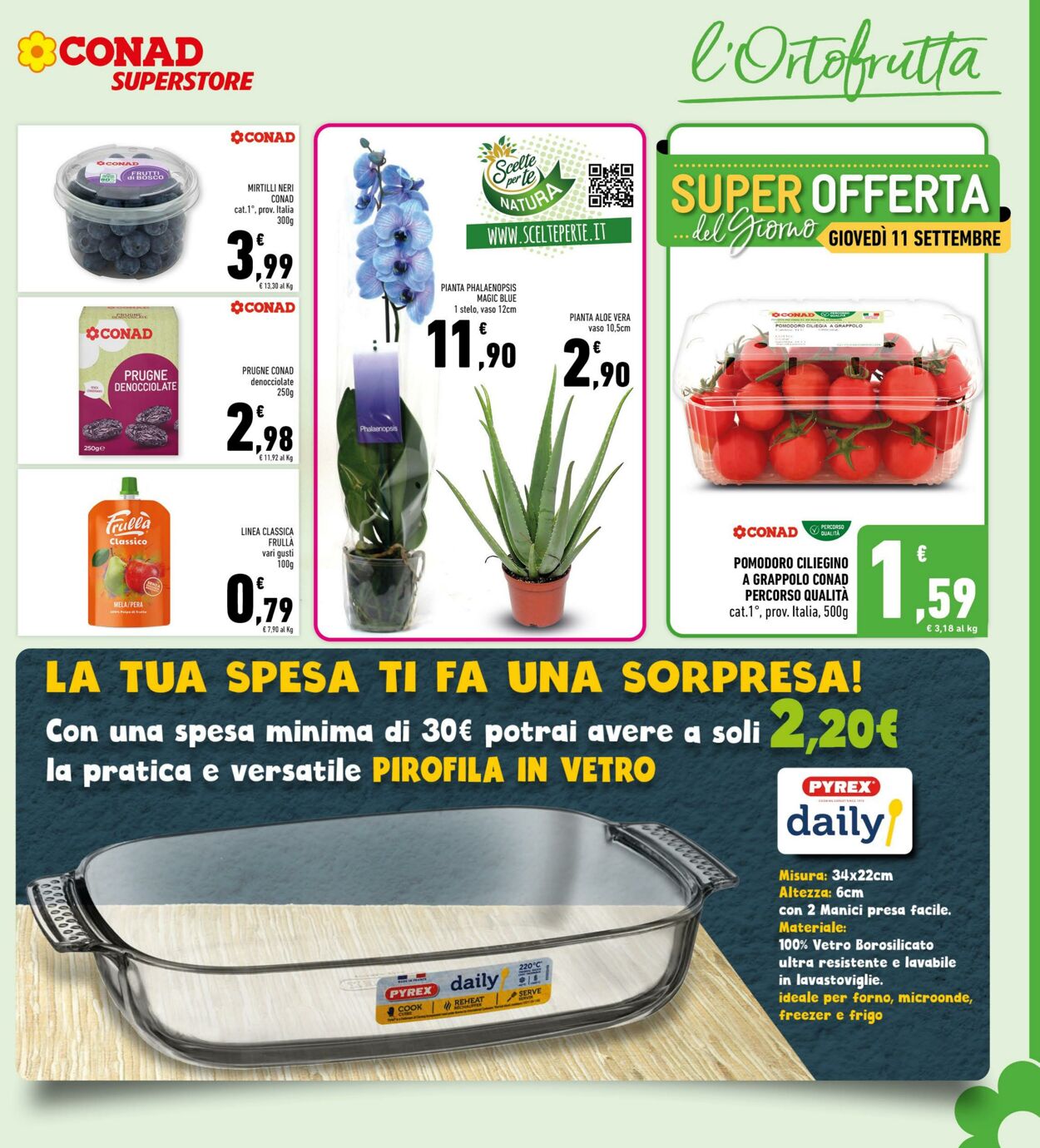 Volantino Conad 12.09.2025 - 12.09.2025