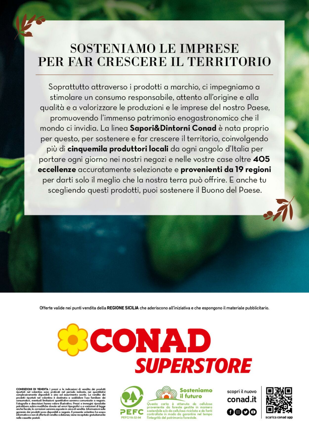 Volantino Conad 02.01.2023 - 26.02.2023