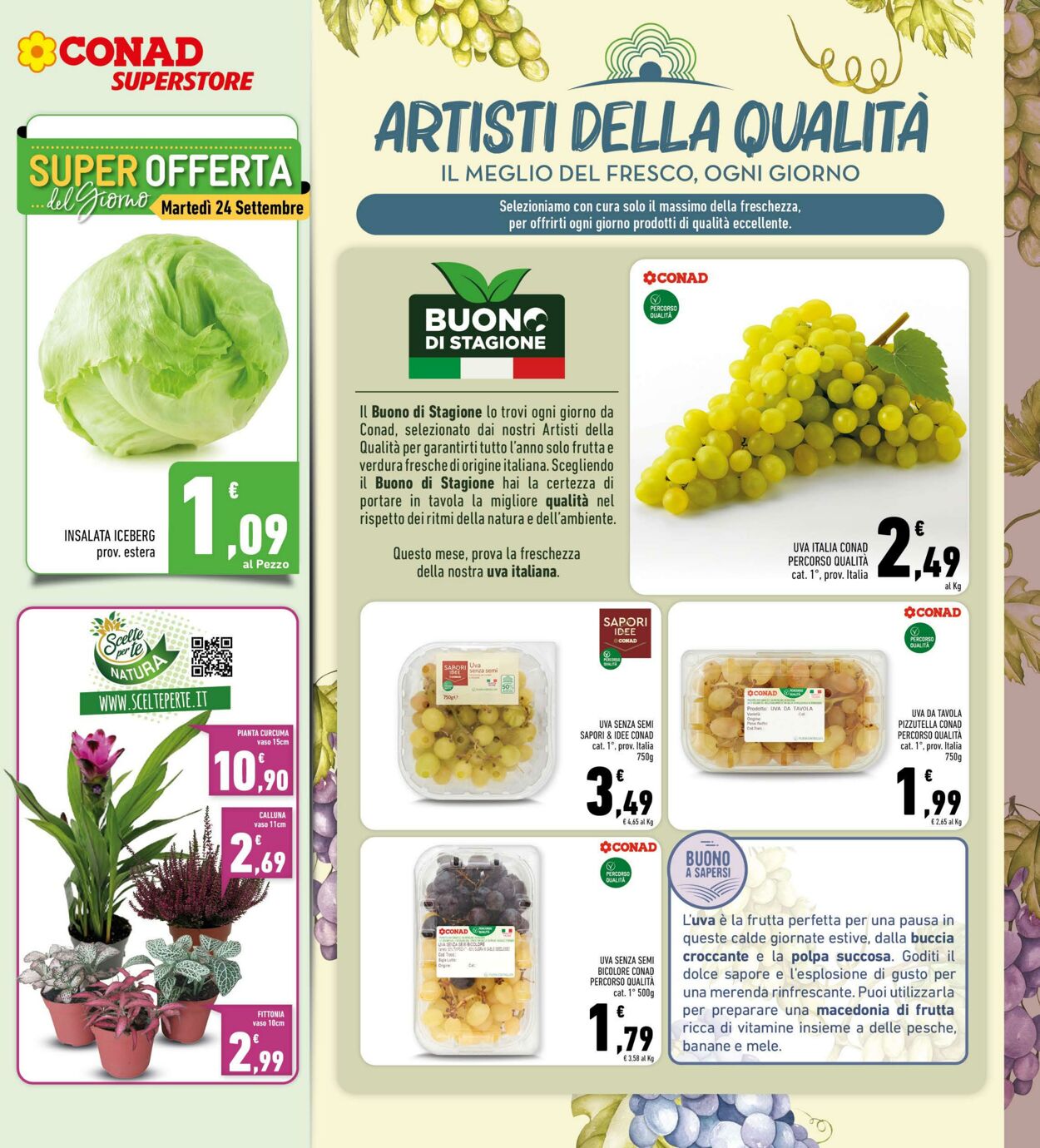 Volantino Conad 18.09.2024 - 29.09.2024