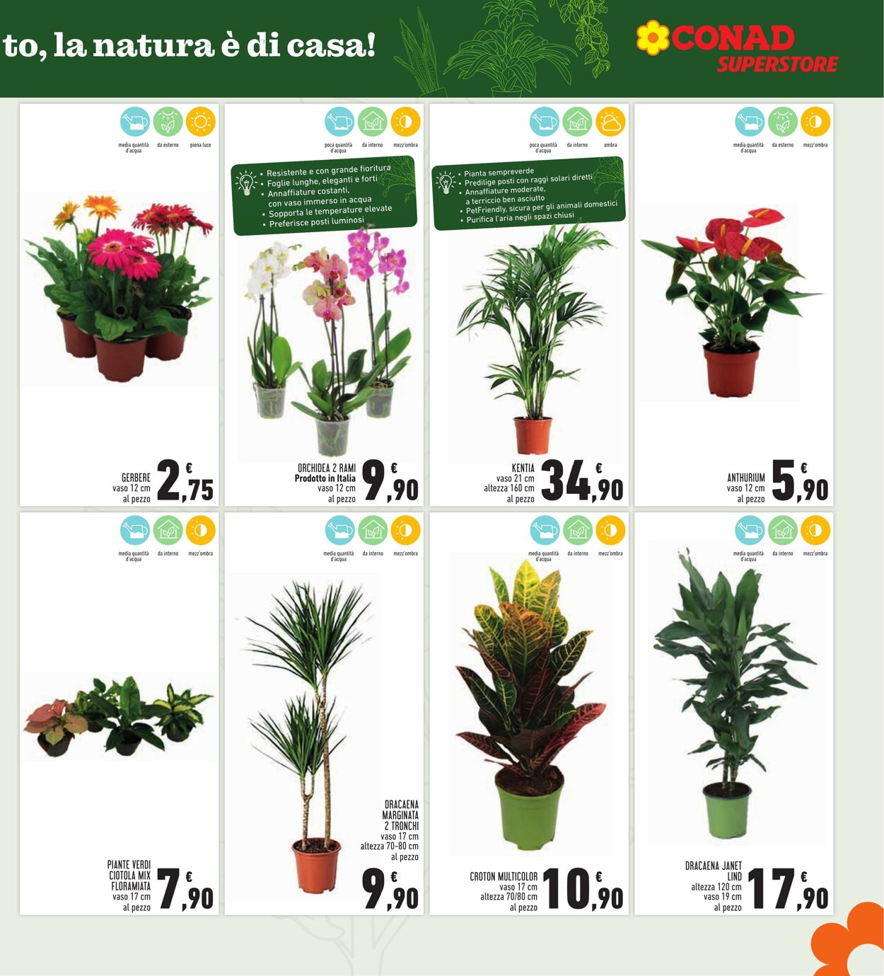 Volantino Conad 21.09.2025 - 21.09.2025