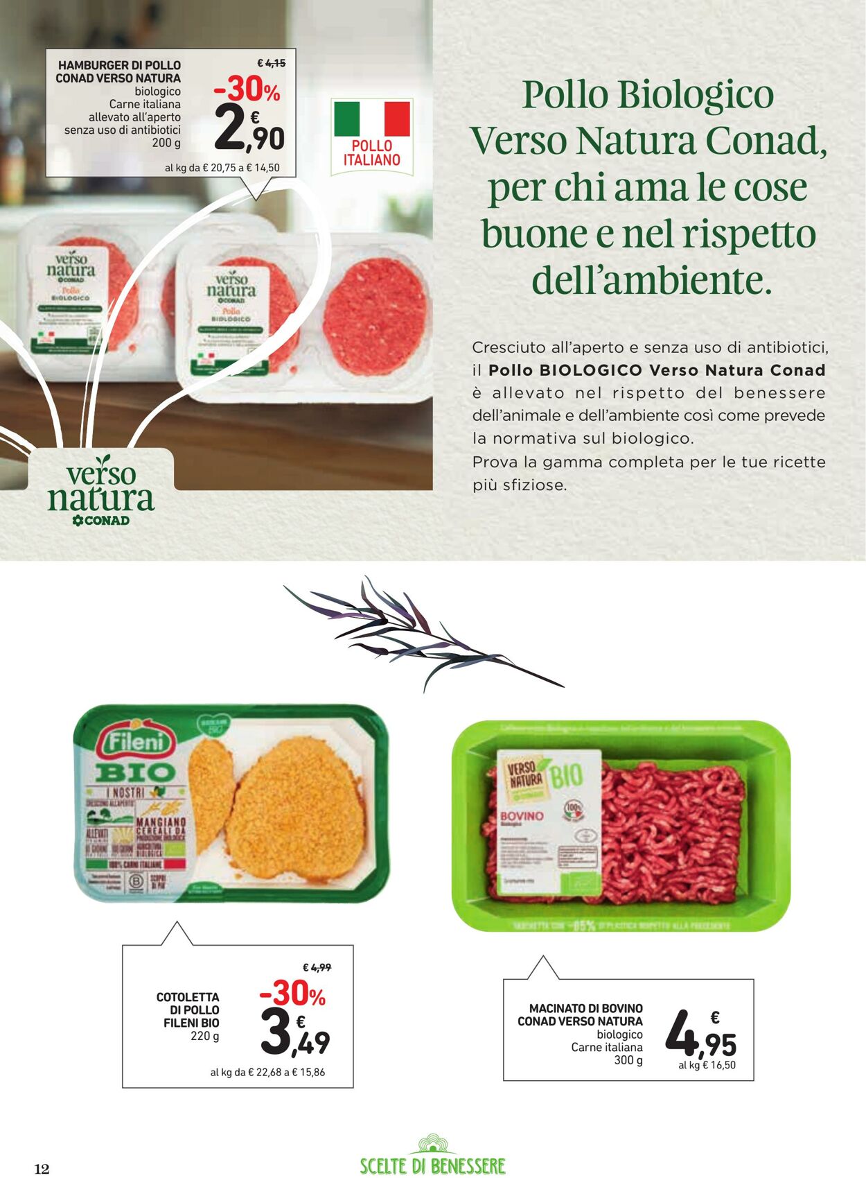 Volantino Conad 13.06.2024 - 06.07.2024