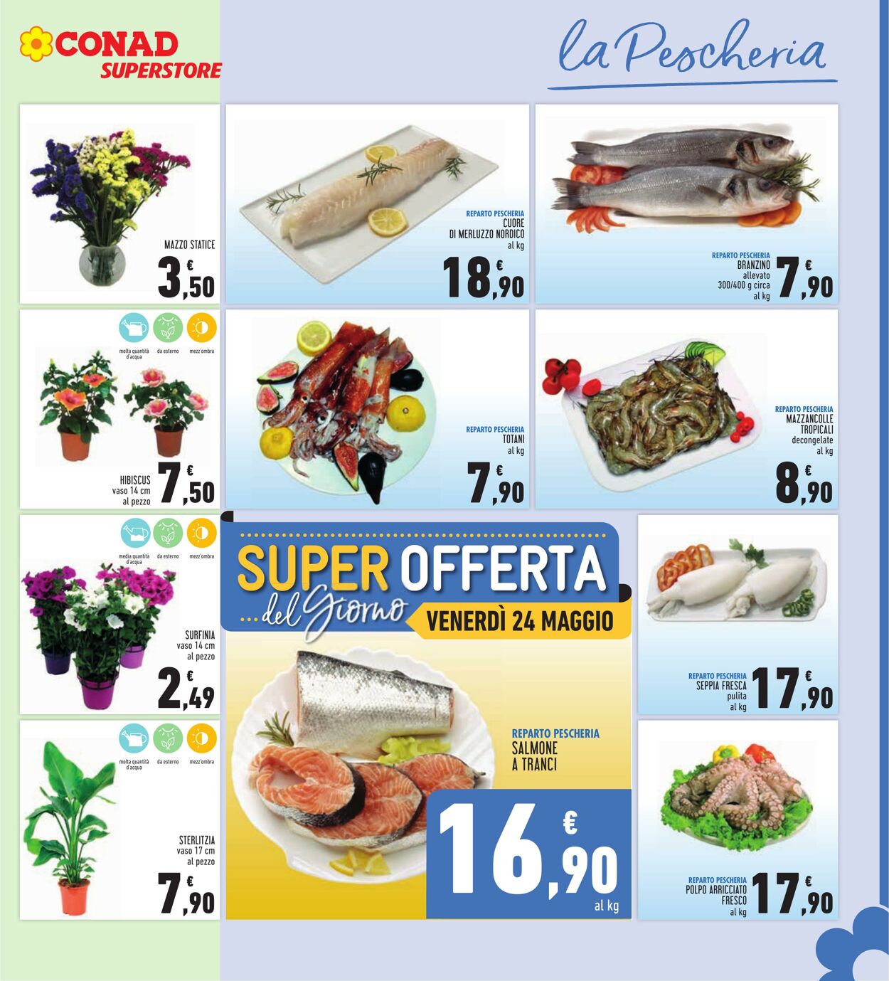 Volantino Conad 15.05.2024 - 29.05.2024