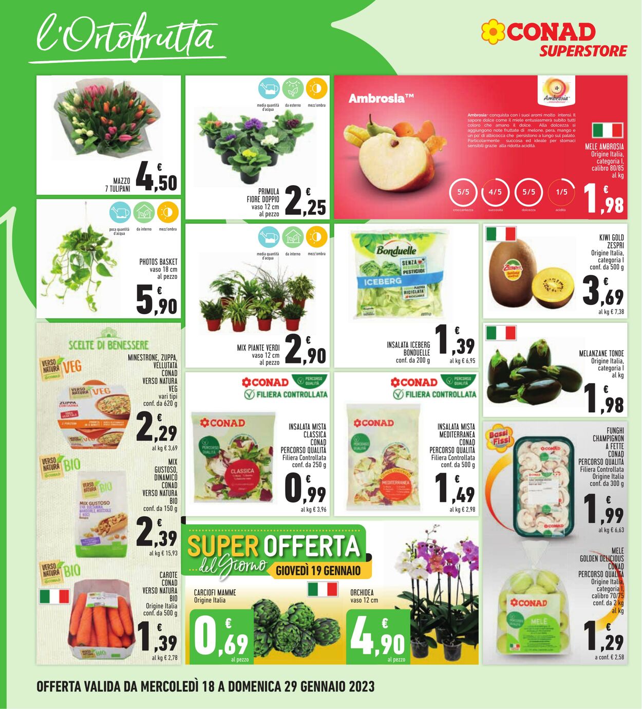 Volantino Conad 18.01.2023 - 29.01.2023