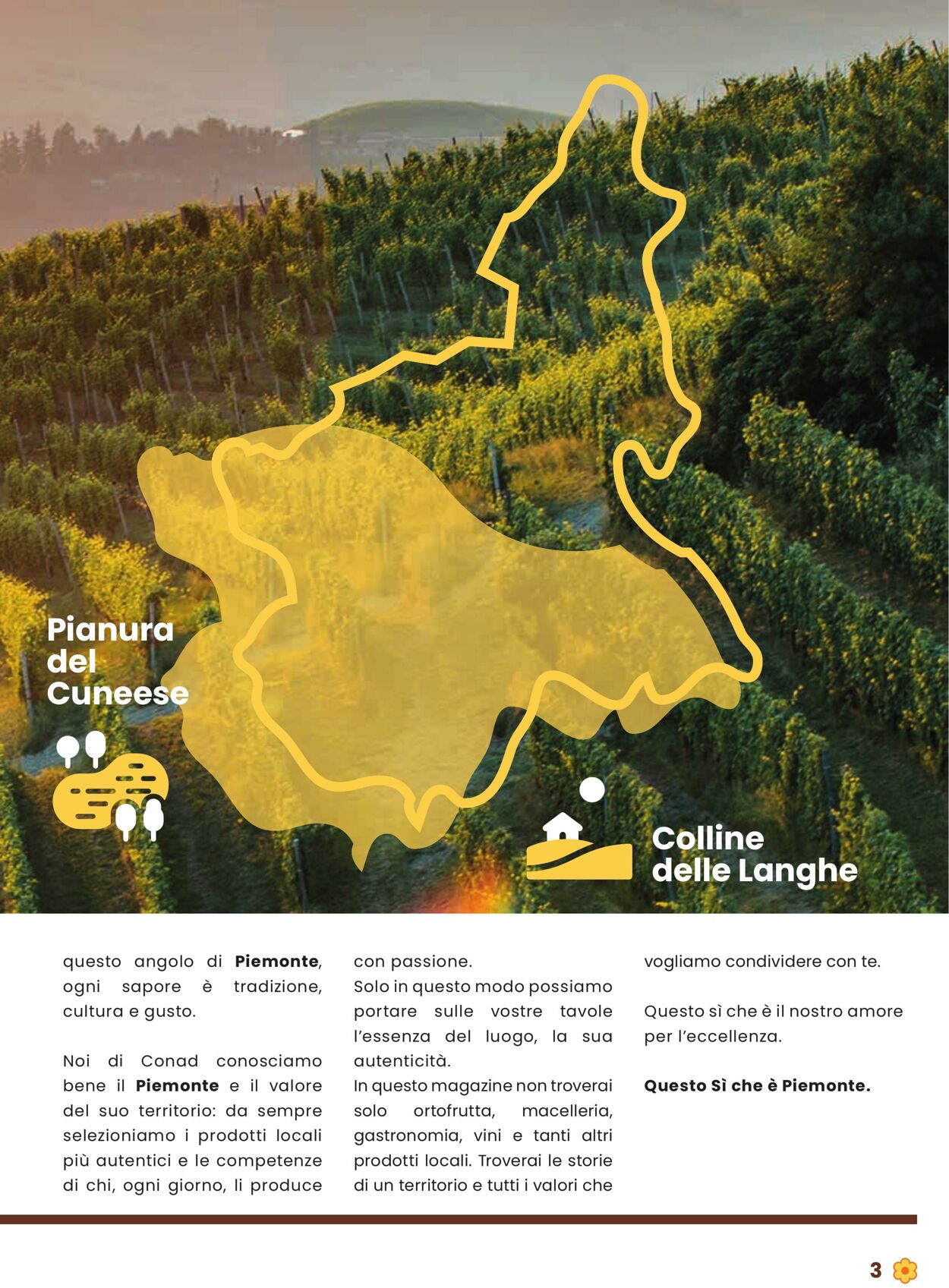 Volantino Conad 21.07.2025 - 21.07.2025