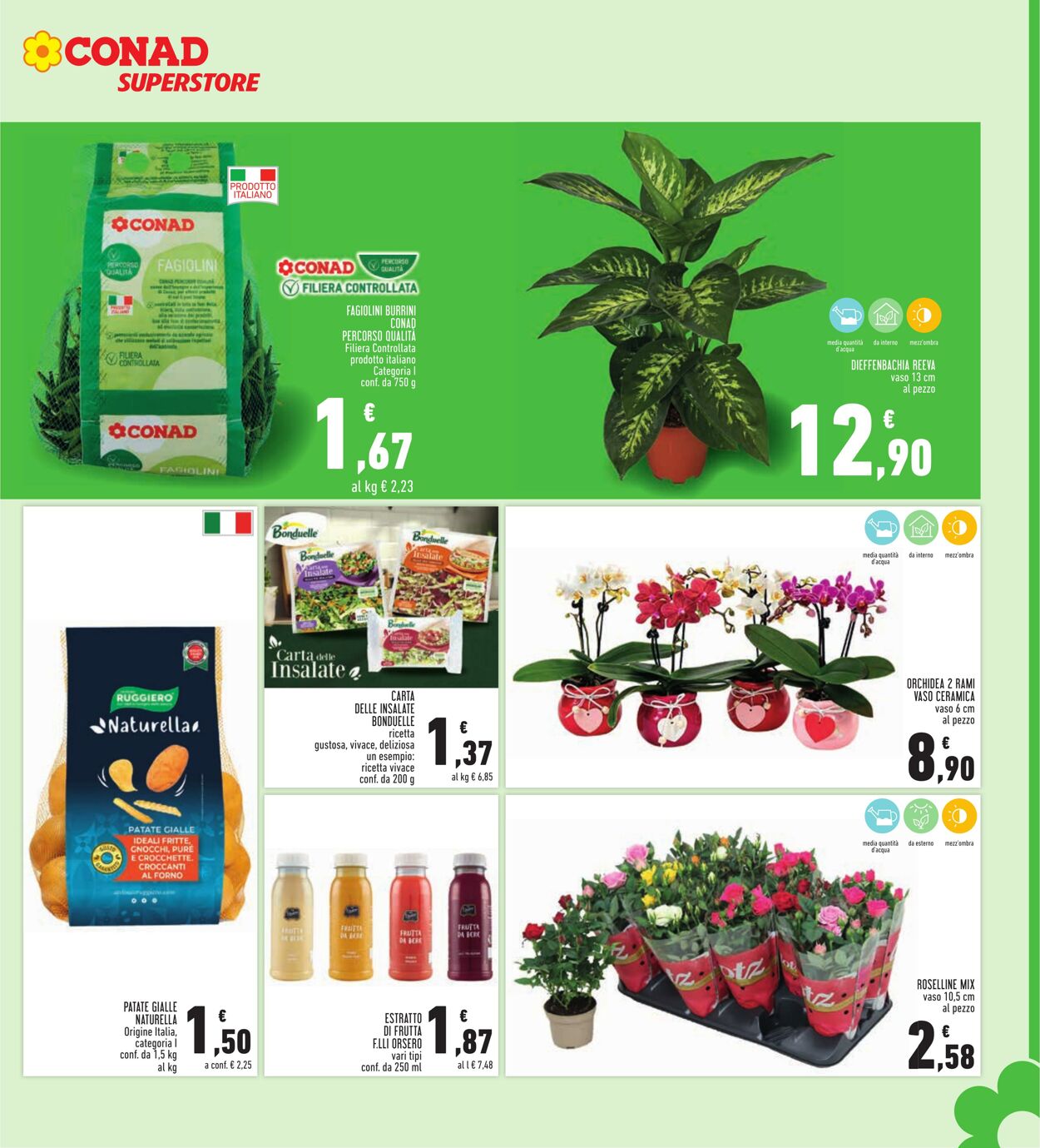 Volantino Conad 12.09.2025 - 12.09.2025