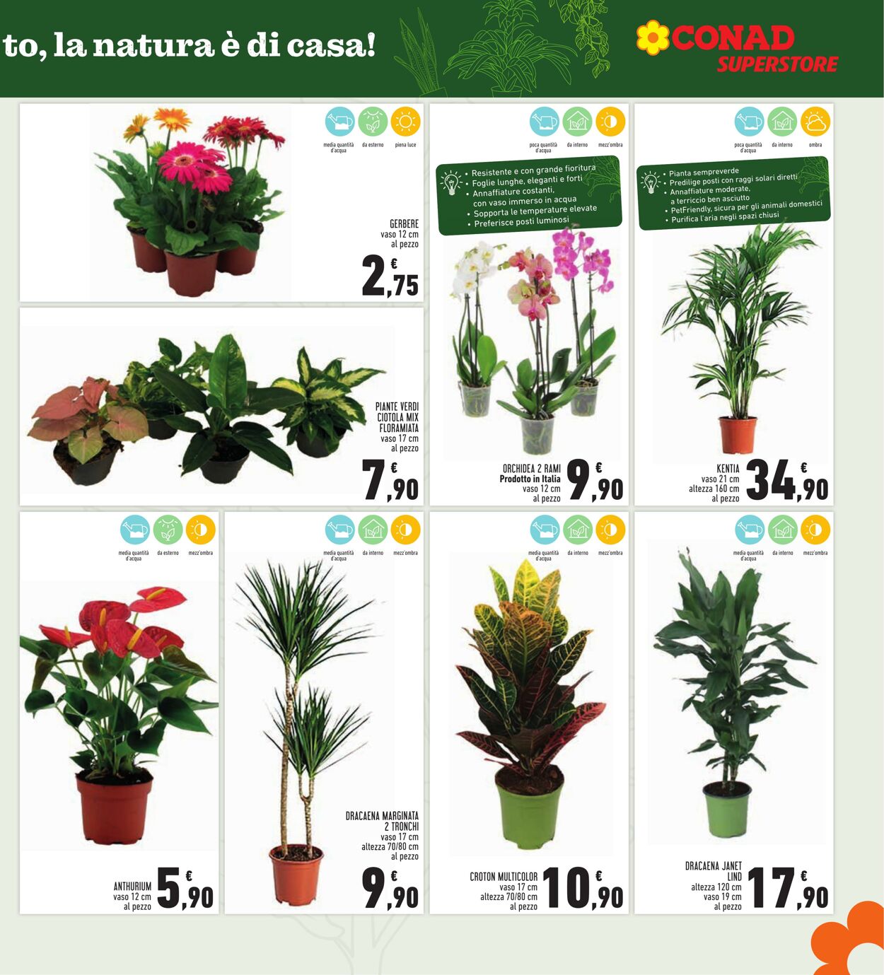 Volantino Conad 20.09.2025 - 20.09.2025