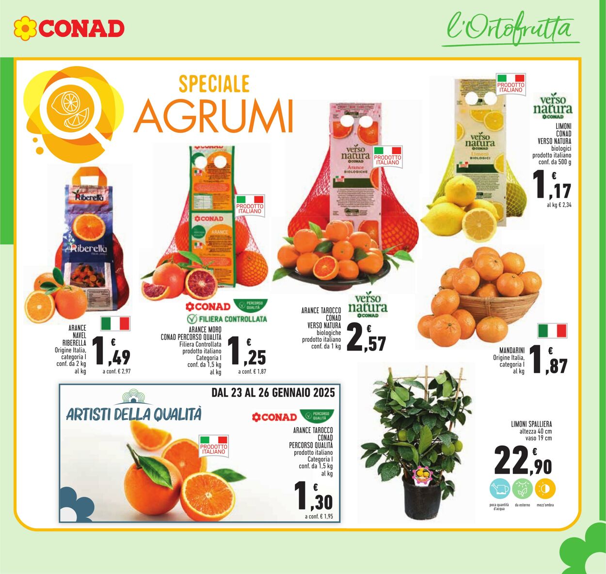 Volantino Conad 16.01.2025 - 29.01.2025