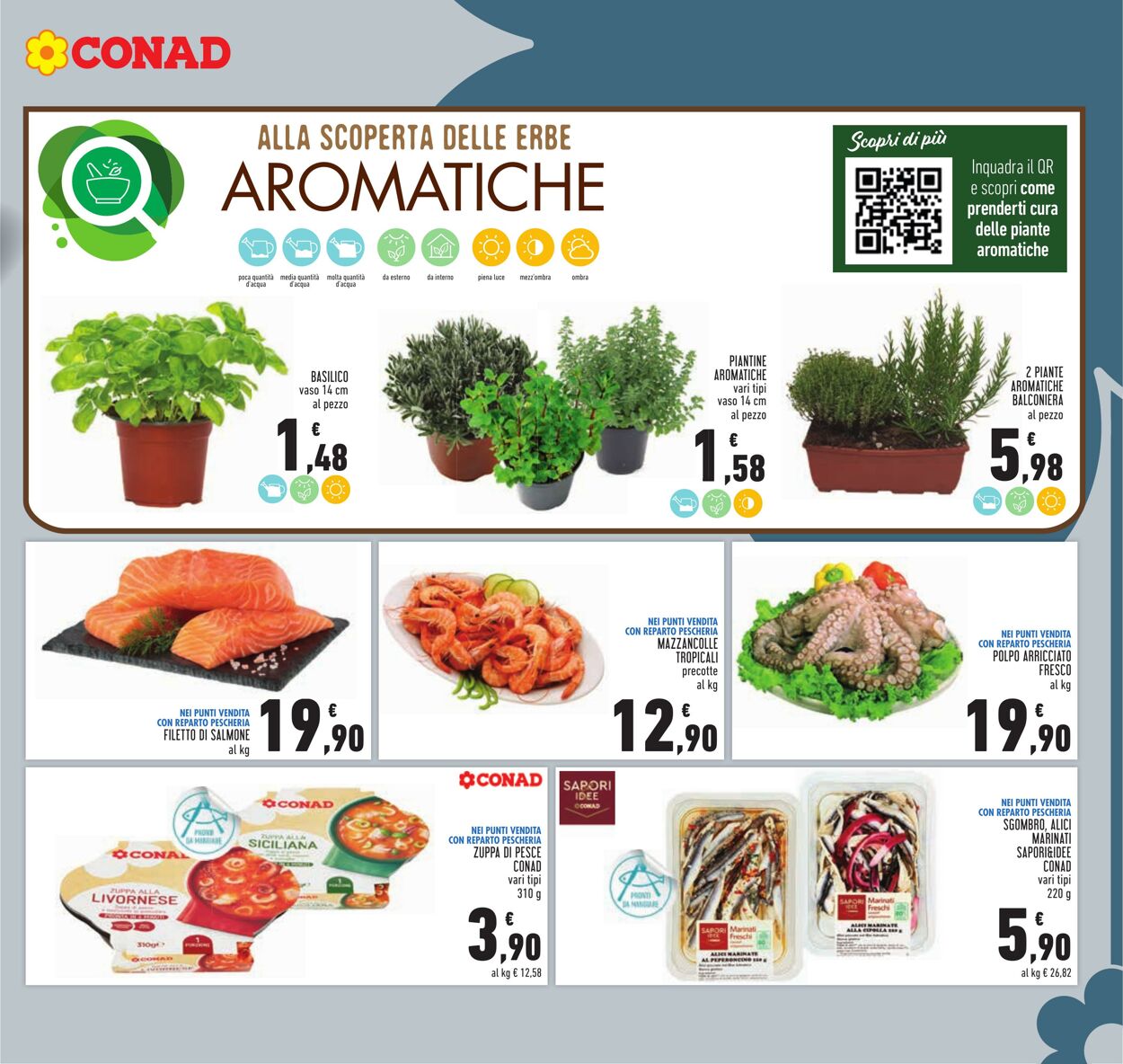 Volantino Conad 02.03.2023 - 15.03.2023