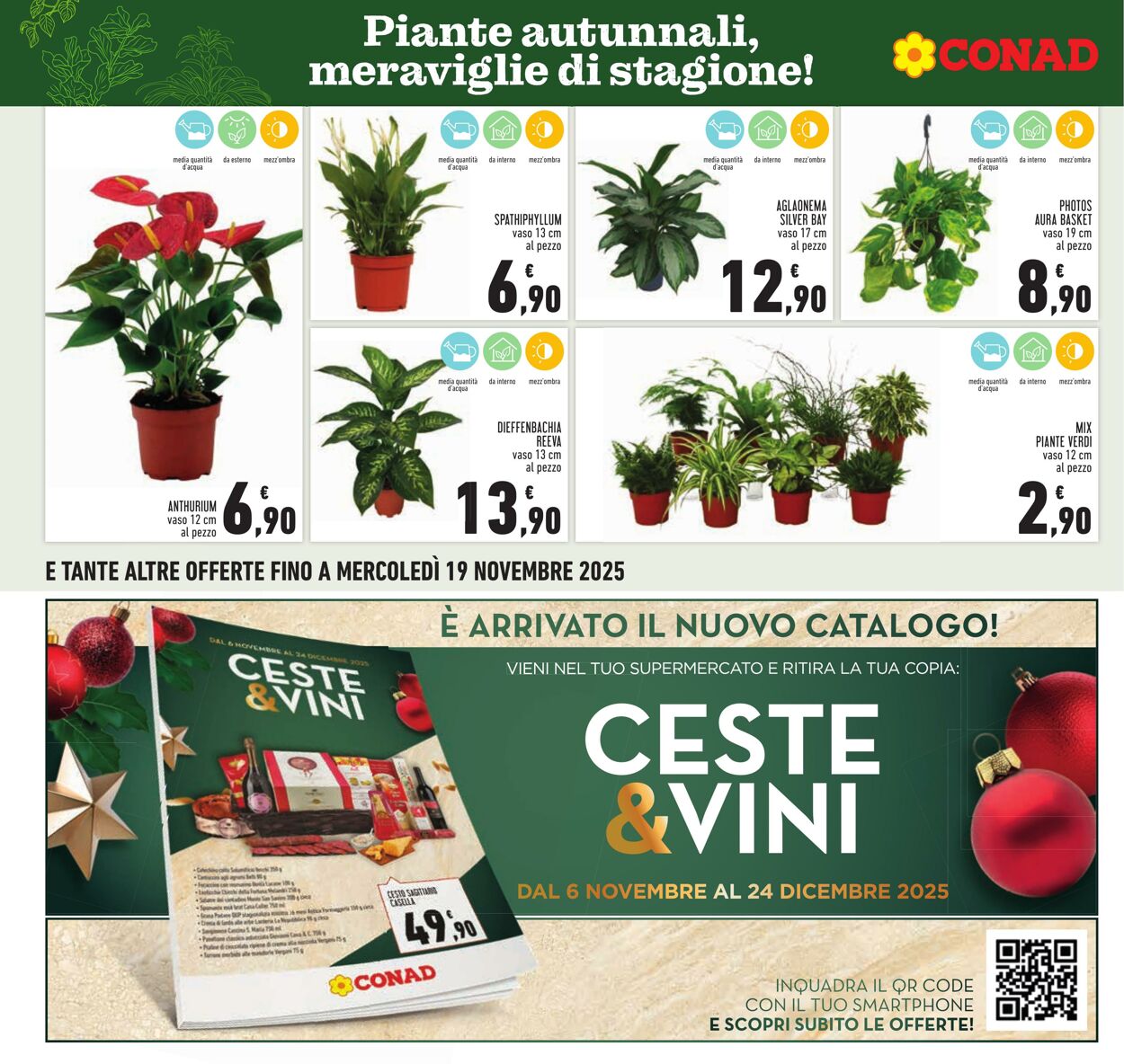 Volantino Conad 06.11.2025 - 06.11.2025