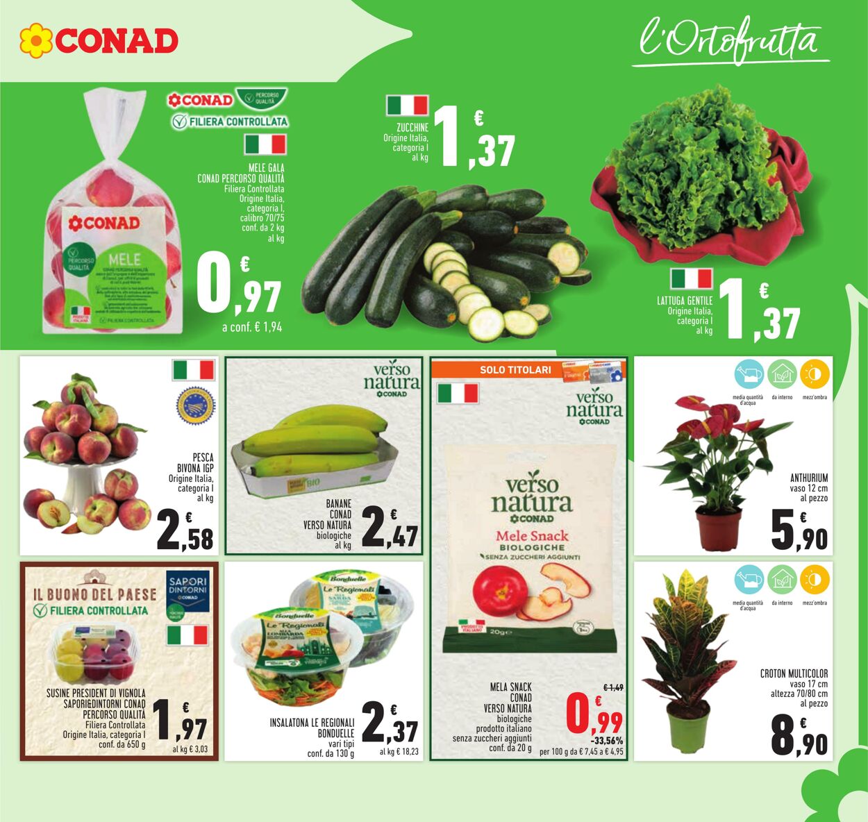 Volantino Conad 31.08.2023 - 13.09.2023