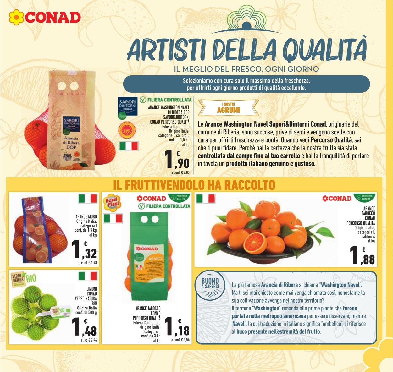 Volantino Conad 19.01.2023 - 01.02.2023