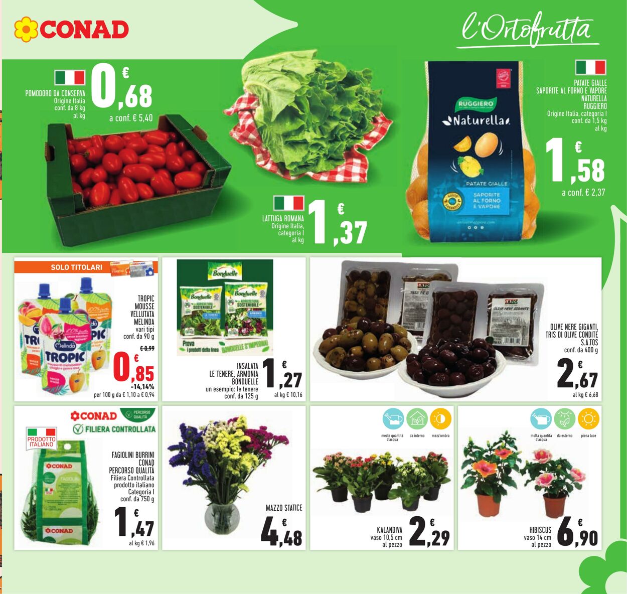 Volantino Conad 25.07.2024 - 07.08.2024