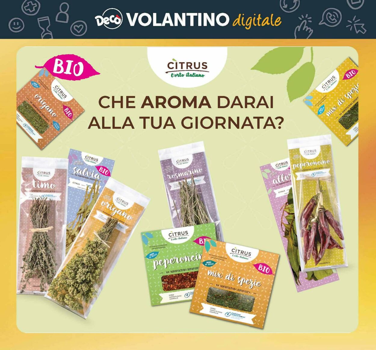 Volantino Deco 03.10.2025 - 12.10.2025