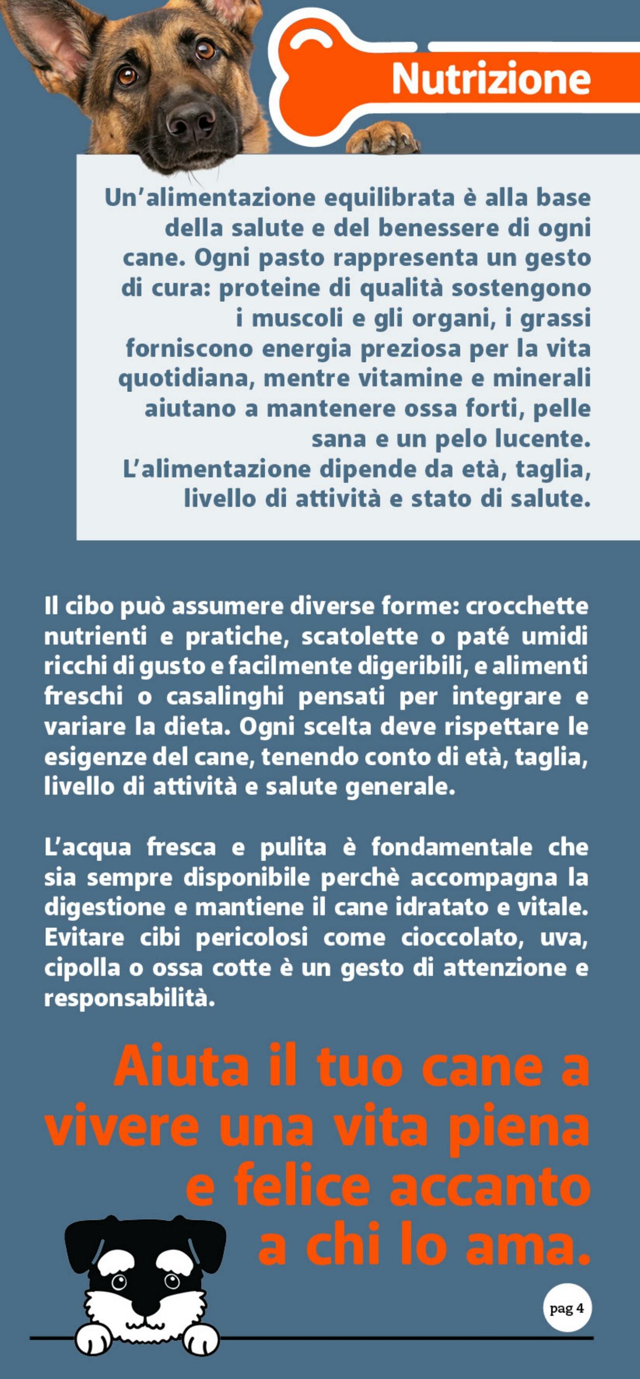 Volantino Famila 24.10.2025 - 09.11.2025