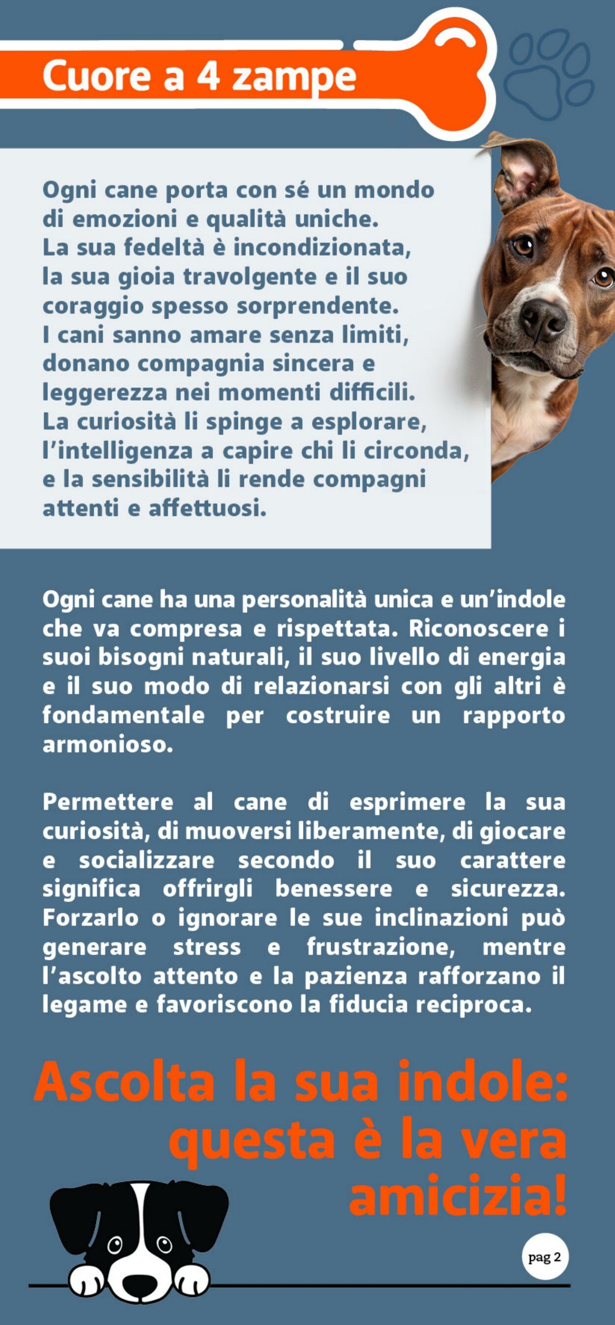 Volantino Famila 24.10.2025 - 09.11.2025