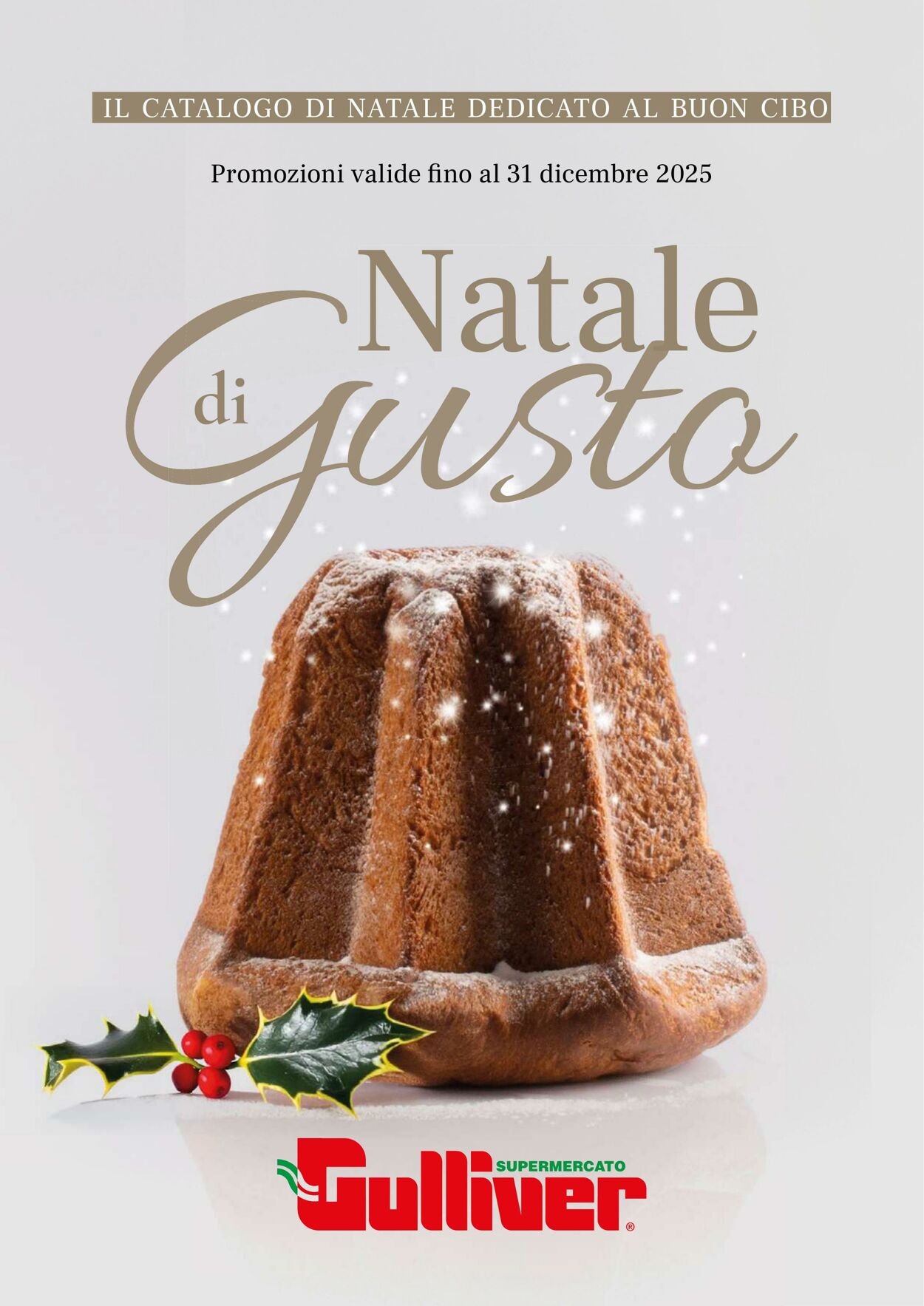 Gulliver Volantini promozionali
