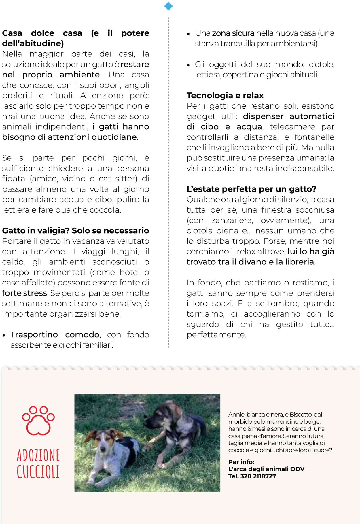 Volantino Gulliver 01.08.2025 - 31.08.2025
