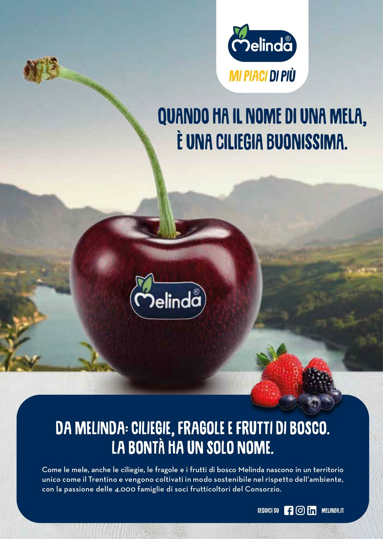 Volantino Gulliver 01.08.2025 - 31.08.2025