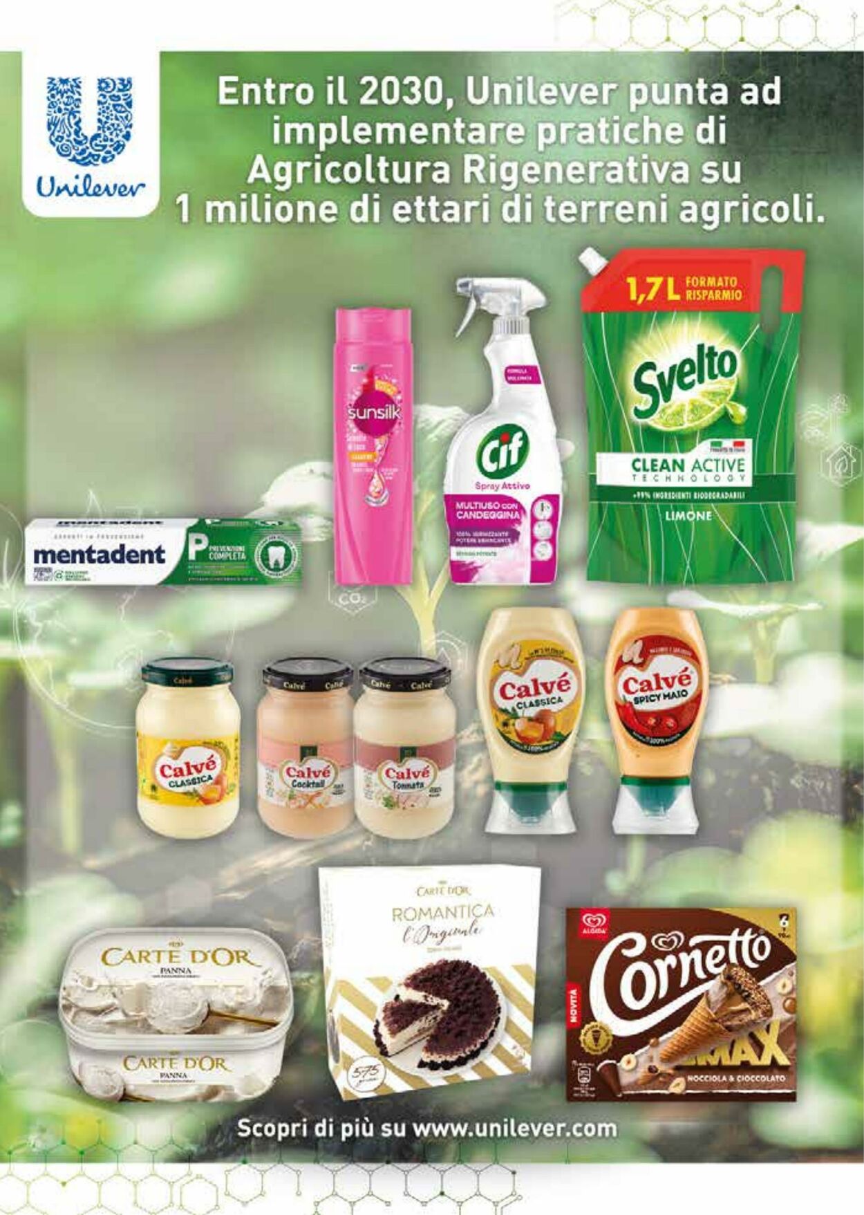 Volantino Gulliver 01.08.2025 - 31.08.2025