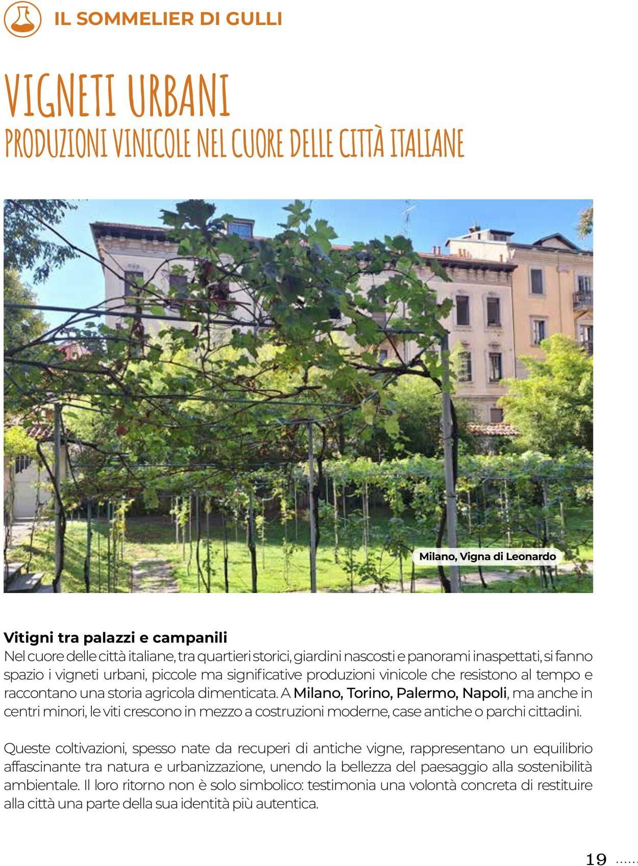 Volantino Gulliver 01.08.2025 - 31.08.2025