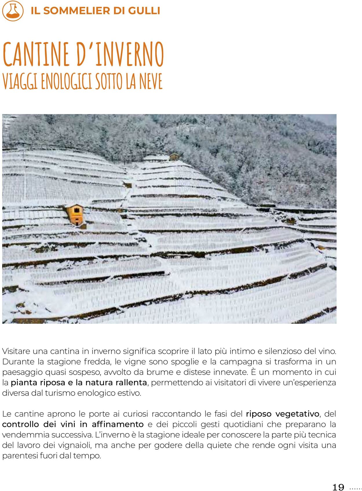Volantino Gulliver 01.12.2025 - 31.12.2025