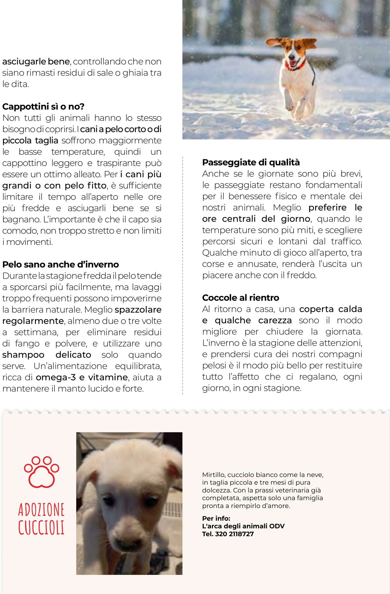 Volantino Gulliver 01.12.2025 - 31.12.2025