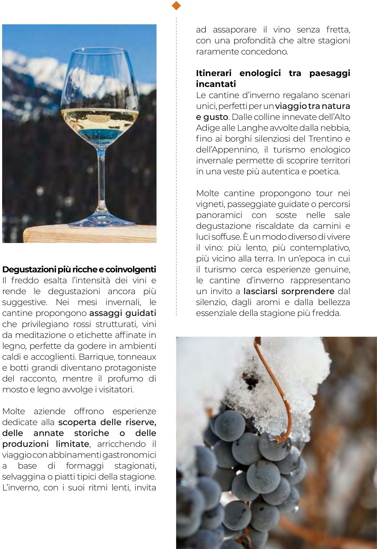 Volantino Gulliver 01.12.2025 - 31.12.2025