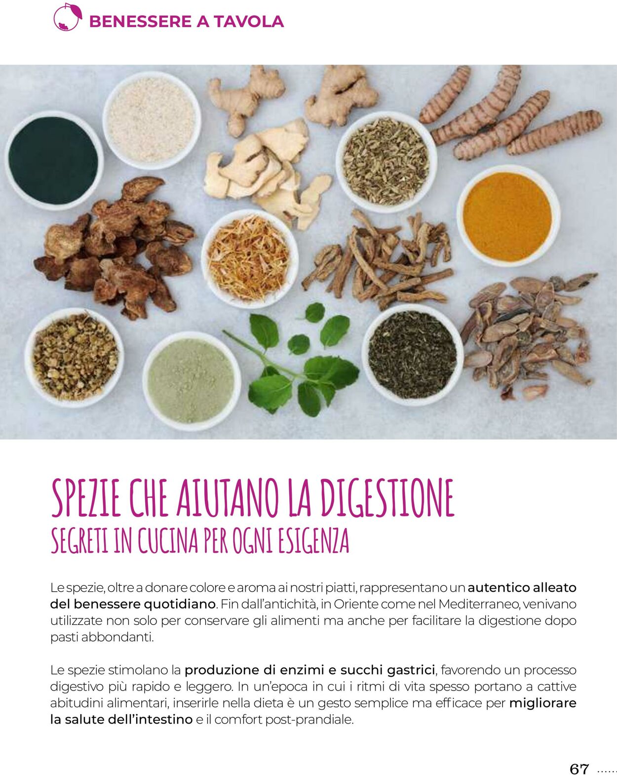 Volantino Gulliver 31.10.2025 - 30.11.2025