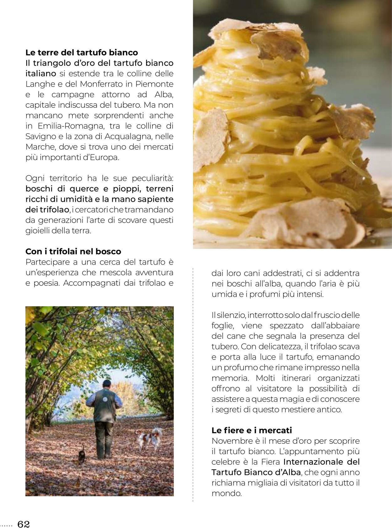 Volantino Gulliver 31.10.2025 - 30.11.2025