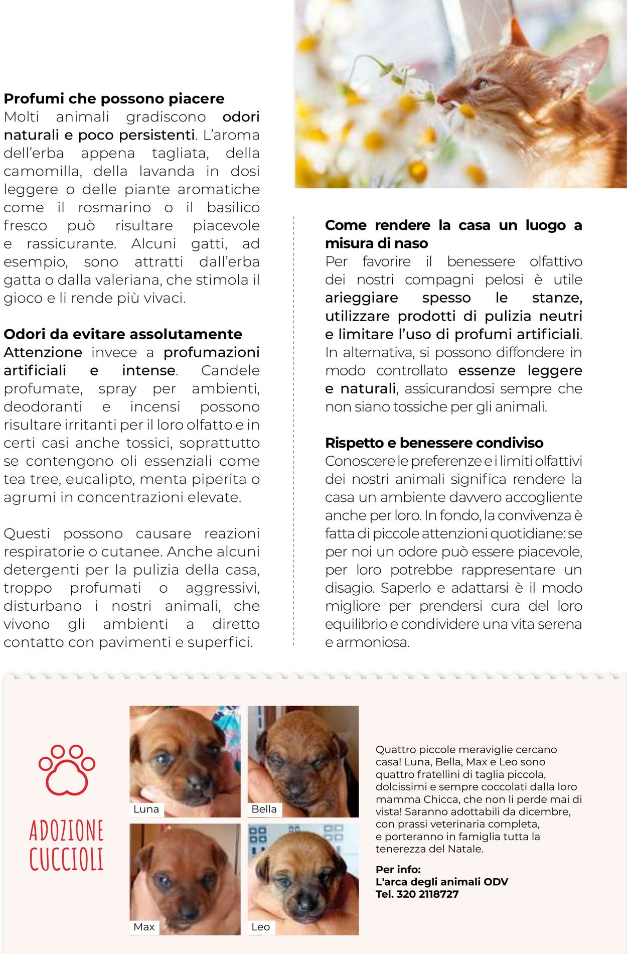 Volantino Gulliver 31.10.2025 - 30.11.2025