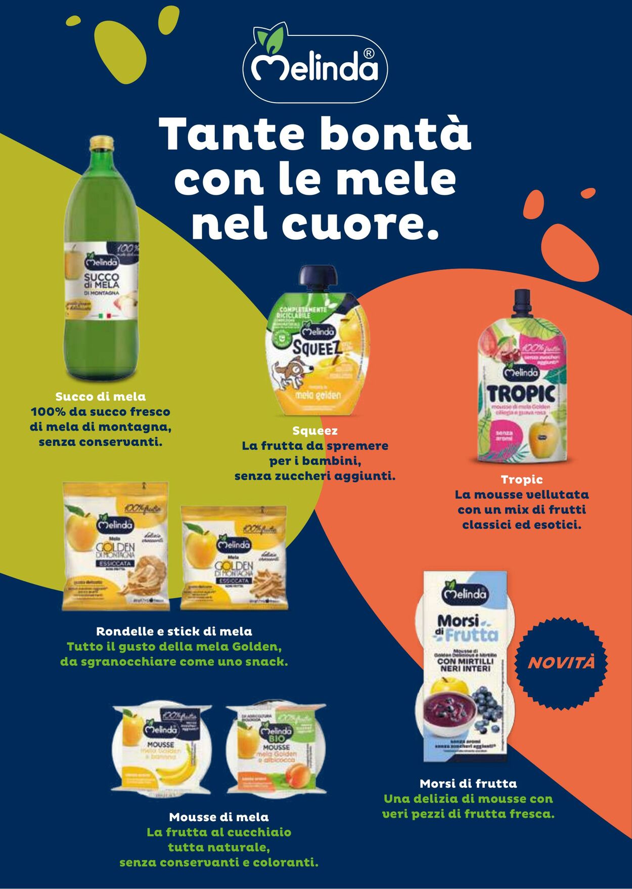 Volantino Gulliver 31.10.2025 - 30.11.2025