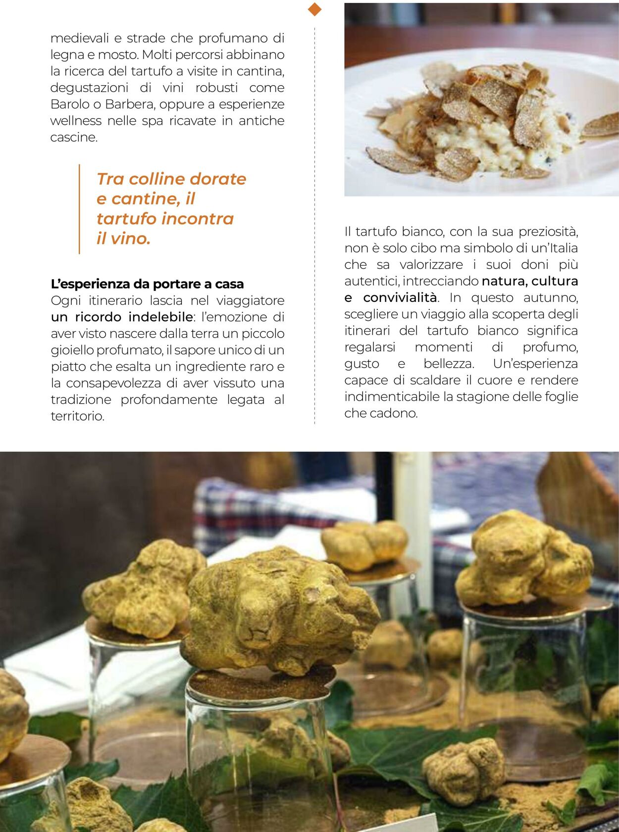 Volantino Gulliver 31.10.2025 - 30.11.2025