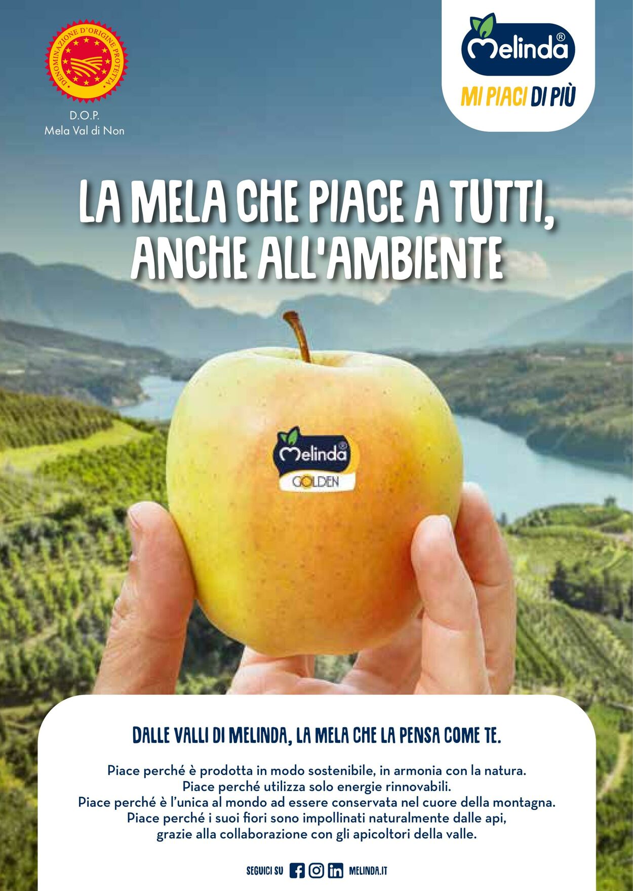 Volantino Gulliver 01.10.2025 - 31.10.2025