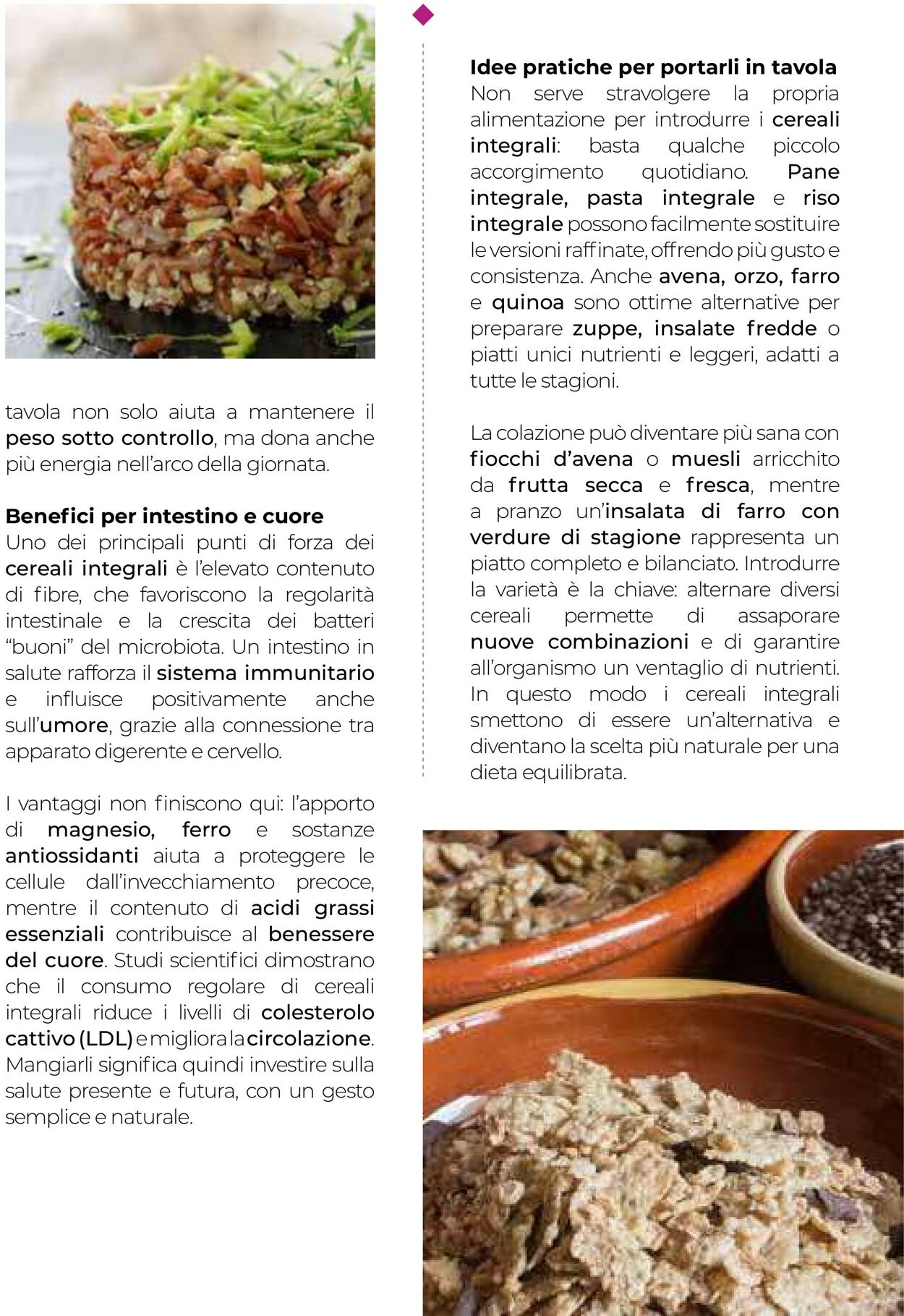 Volantino Gulliver 01.10.2025 - 31.10.2025