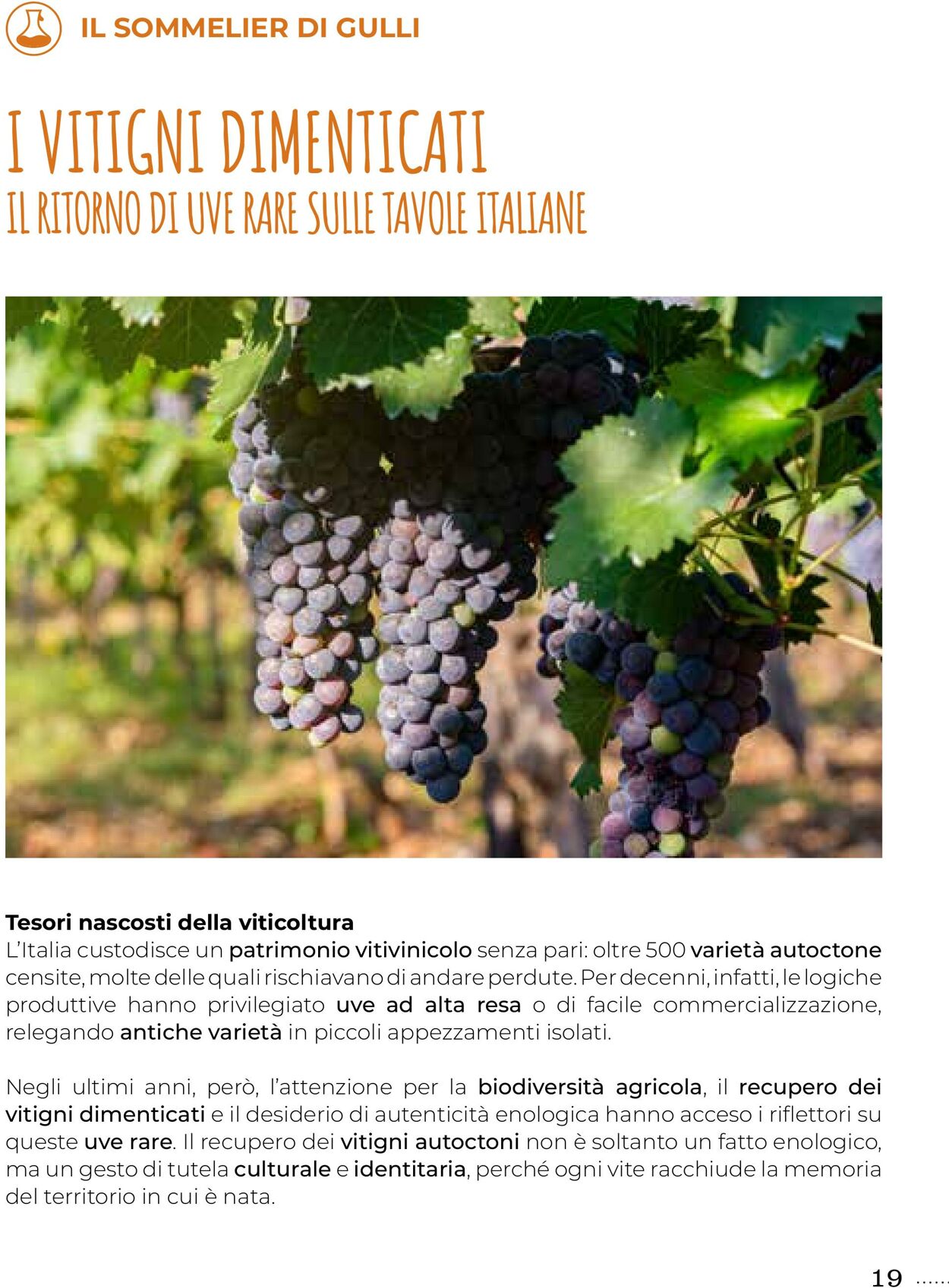 Volantino Gulliver 01.10.2025 - 31.10.2025