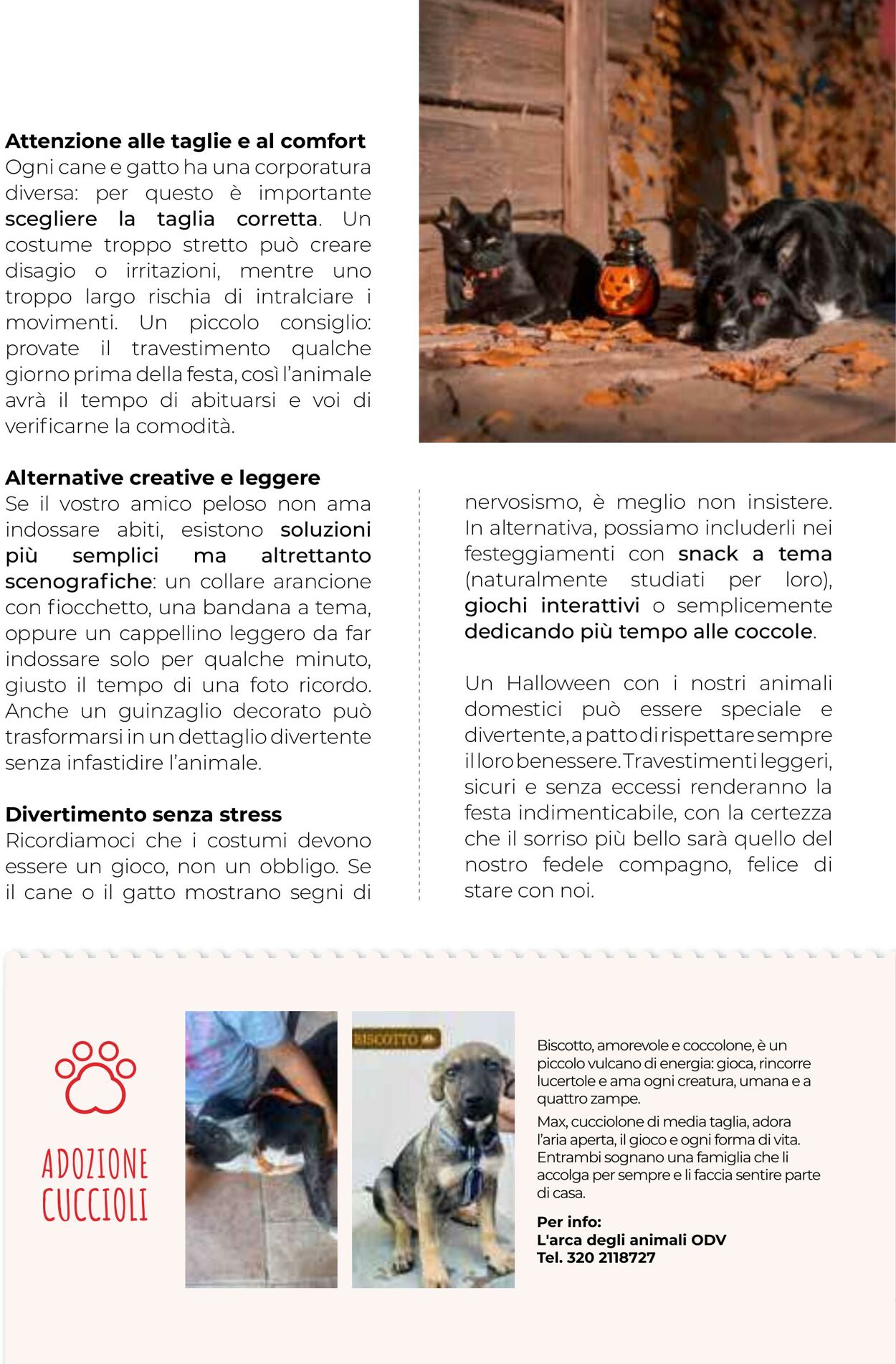 Volantino Gulliver 01.10.2025 - 31.10.2025