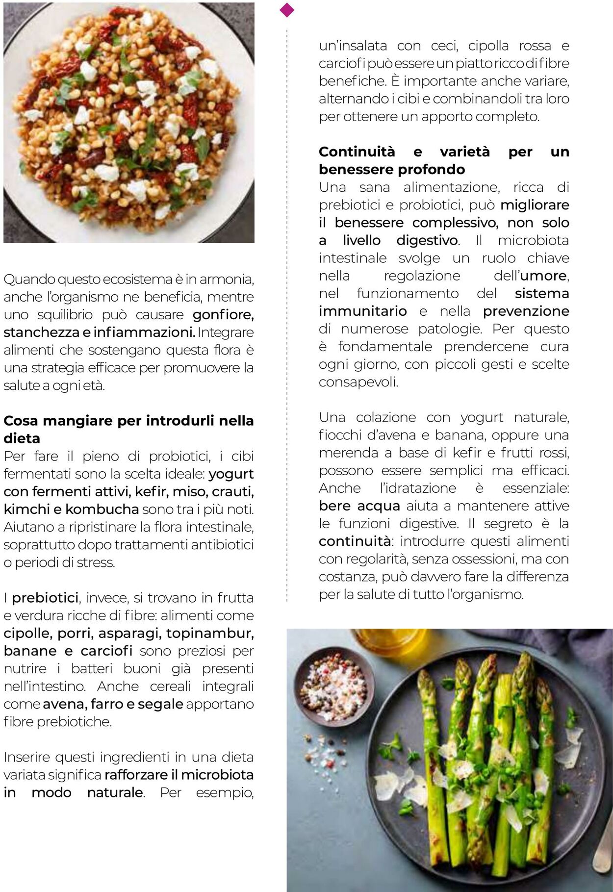 Volantino Gulliver 01.09.2025 - 30.09.2025