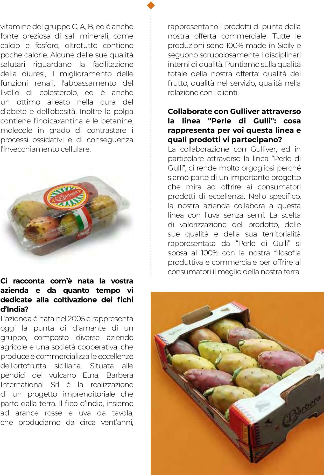 Volantino Gulliver 01.09.2025 - 30.09.2025