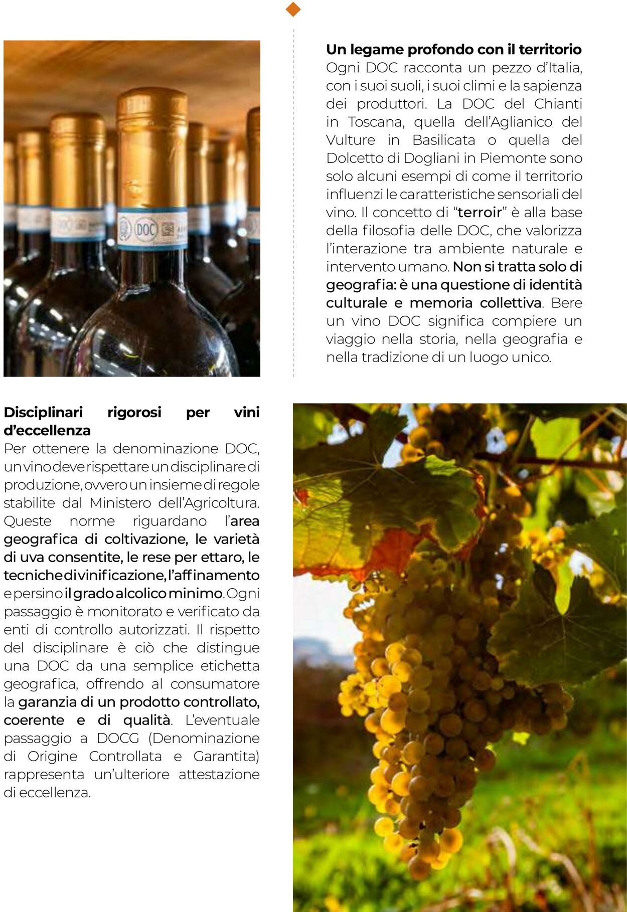Volantino Gulliver 01.09.2025 - 30.09.2025