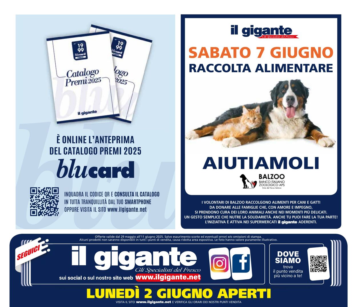 Volantino Il gigante 29.05.2025 - 11.06.2025