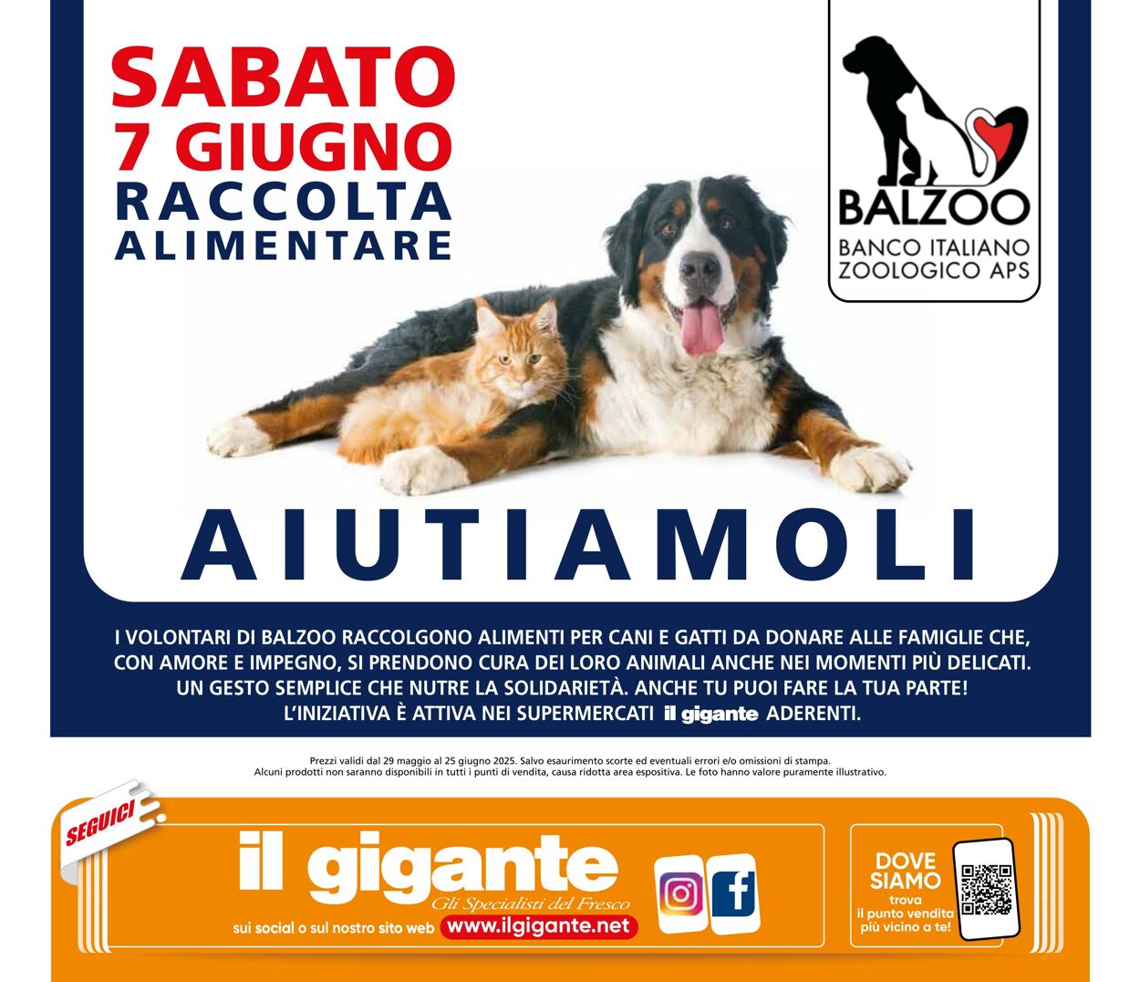 Volantino Il gigante 29.05.2025 - 25.06.2025