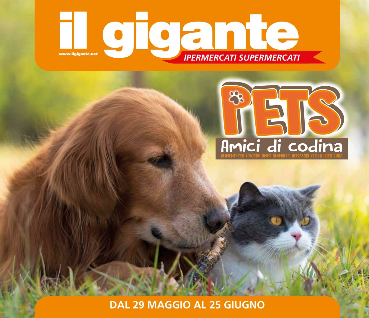 Volantino Il gigante 29.05.2025 - 25.06.2025
