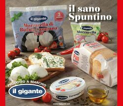 Volantino Il gigante 03.03.2025 - 26.03.2025