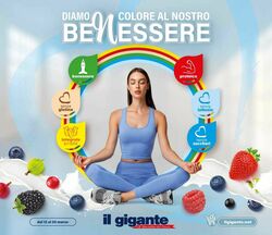 Volantino Il gigante 24.11.2025 - 31.12.2025