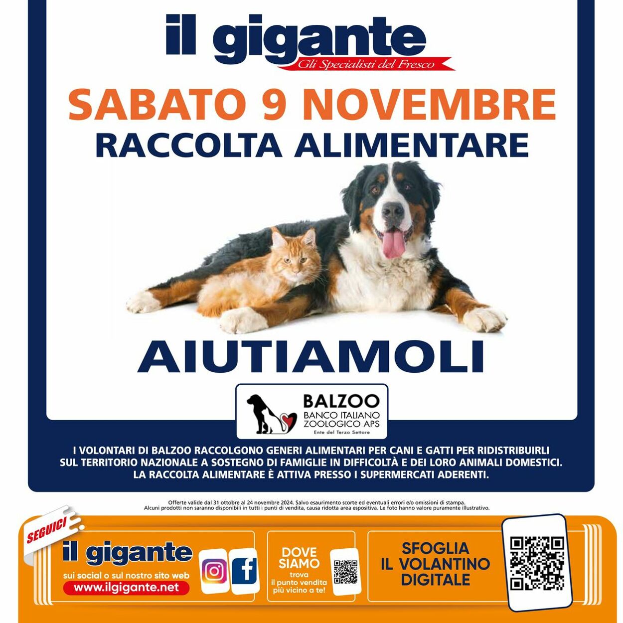 Volantino Il gigante 31.10.2024 - 24.11.2024