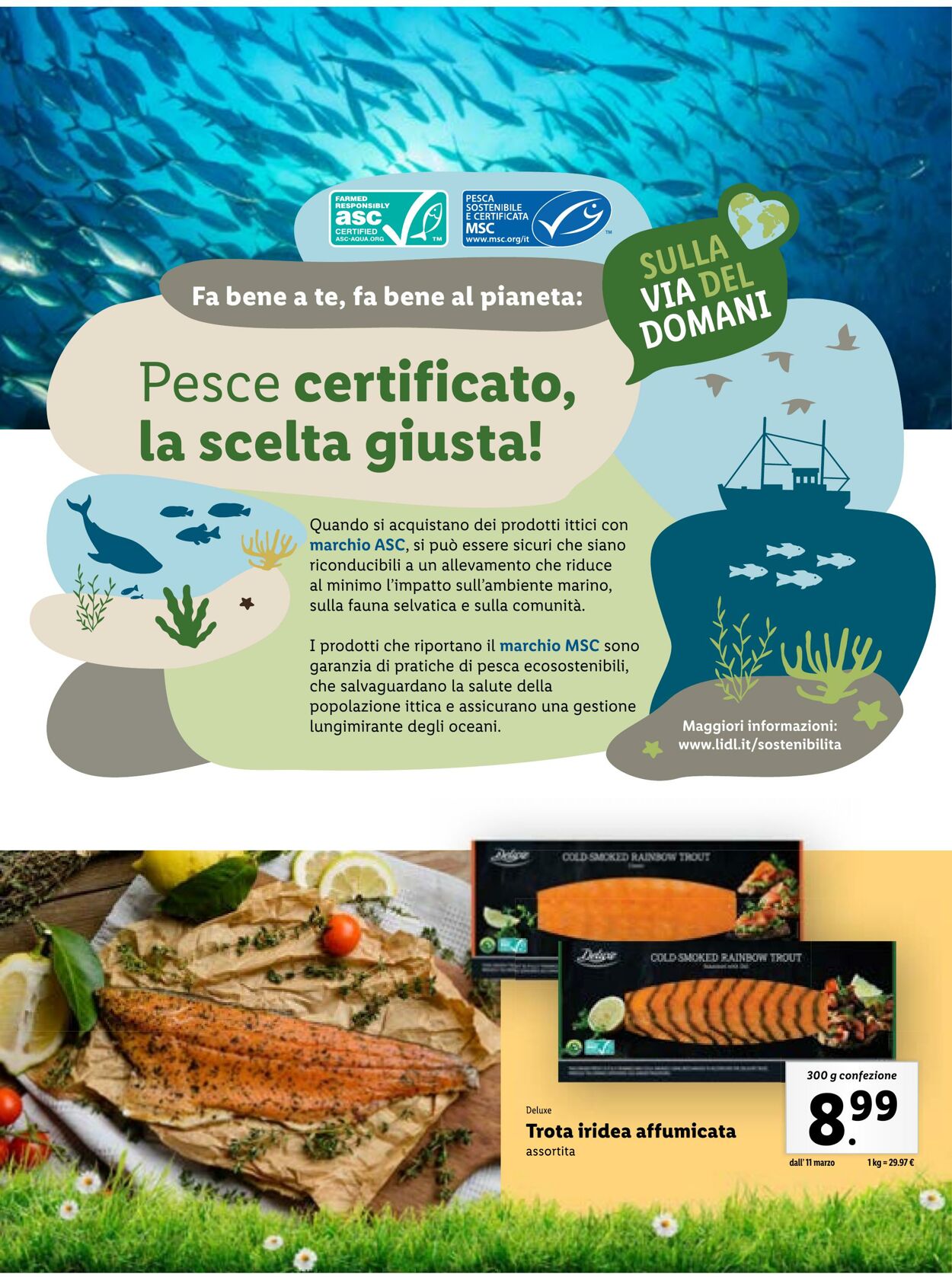 Volantino Lidl 08.03.2024 - 31.03.2024