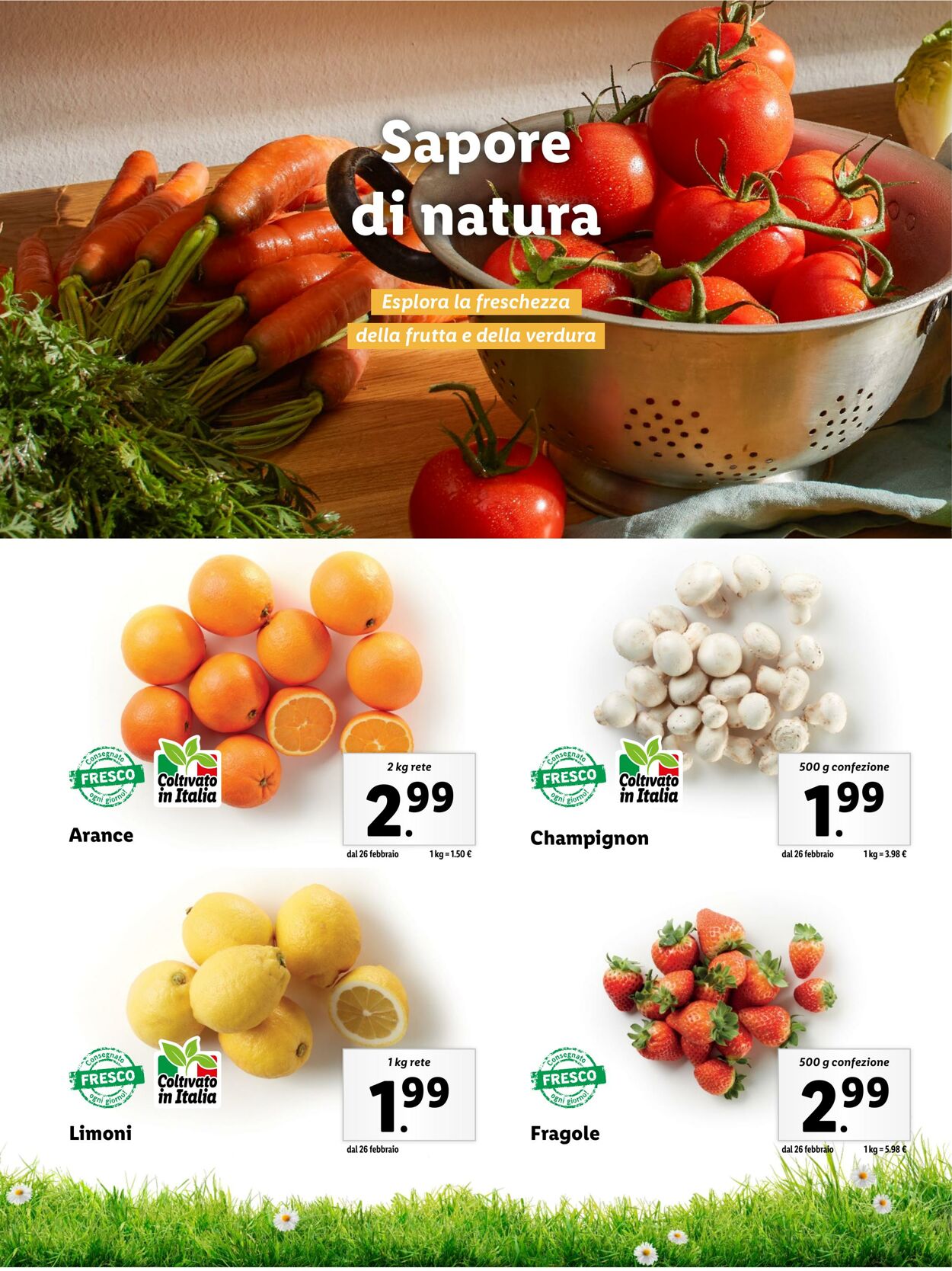 Volantino Lidl 08.03.2024 - 31.03.2024